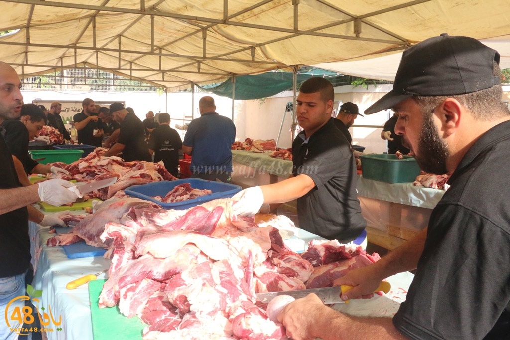 ada7y forthei (34).JPG